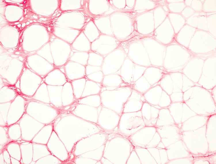 Bora Pharmaceuticals establishes biologics CDMO platform