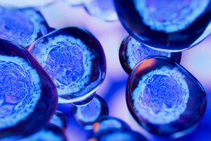 Bracco enters cell therapy manufacturing with microbubble-based cell selection technology