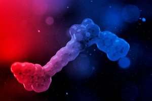 Breaking barriers: enhancing the bioavailability of orally delivered TPDs