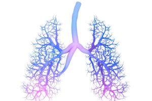 Breakthrough research breathes hope into a new treatment for asthma