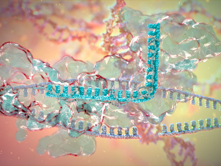 CRISPR technology