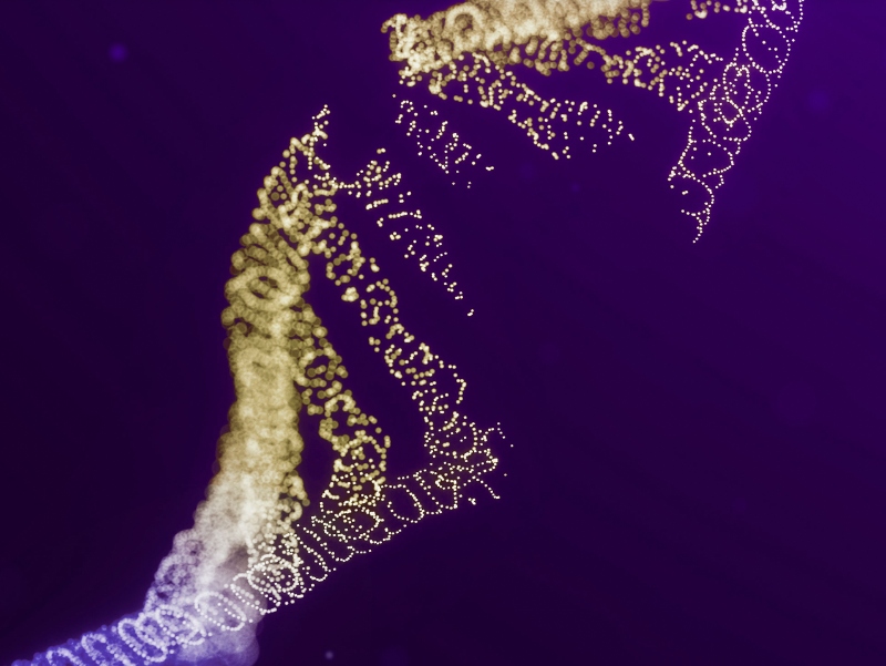 Broken String secures $15M financing for DNA break mapping technology
