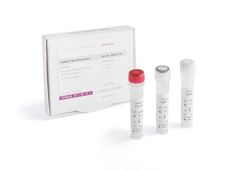 Bst Polymerase reagents for accelerated DNA amplification