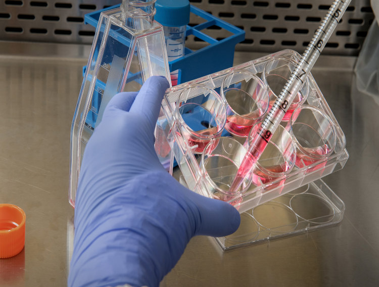 C2 Pharma expands ophthalmic API portfolio