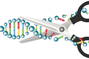 Can epi-drugs capture the next wave of growth?