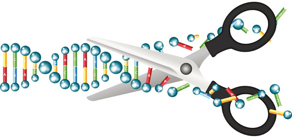 Can epi-drugs capture the next wave of growth?