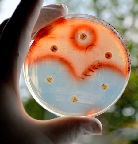 Can new discoveries prevent an antibiotic Armageddon?