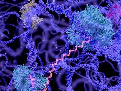 Cancer Research UK announces collaboration with Celgene 