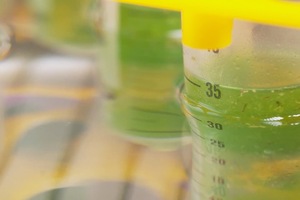 Cannabis testing lab Cannalysis gets cash injection to expand in the US