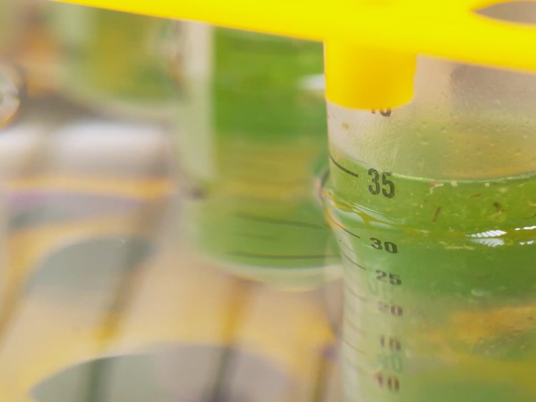 Cannabis testing lab Cannalysis gets cash injection to expand in the US
