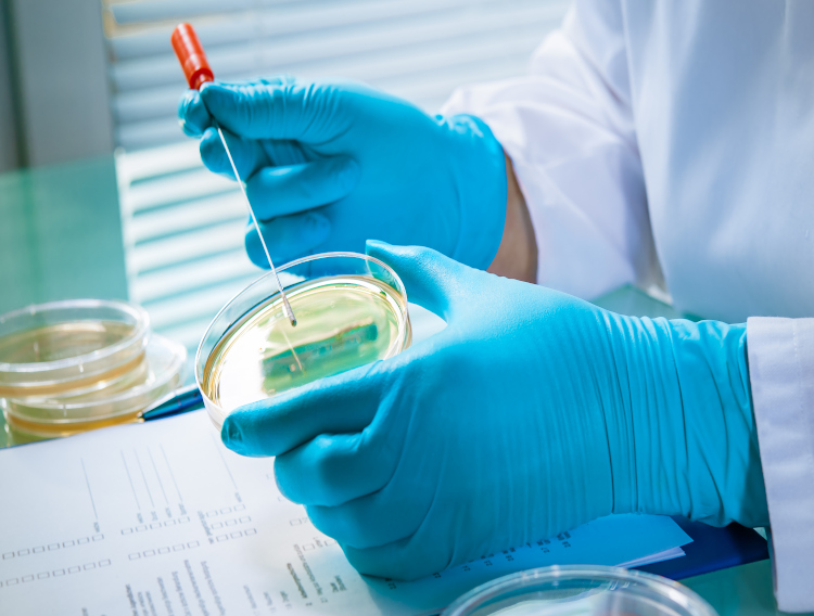 Catalent expands clinical supply capabilities in Shanghai