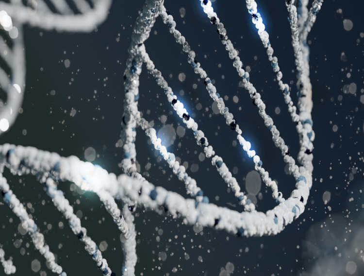 Catalent launches AAV development platform process