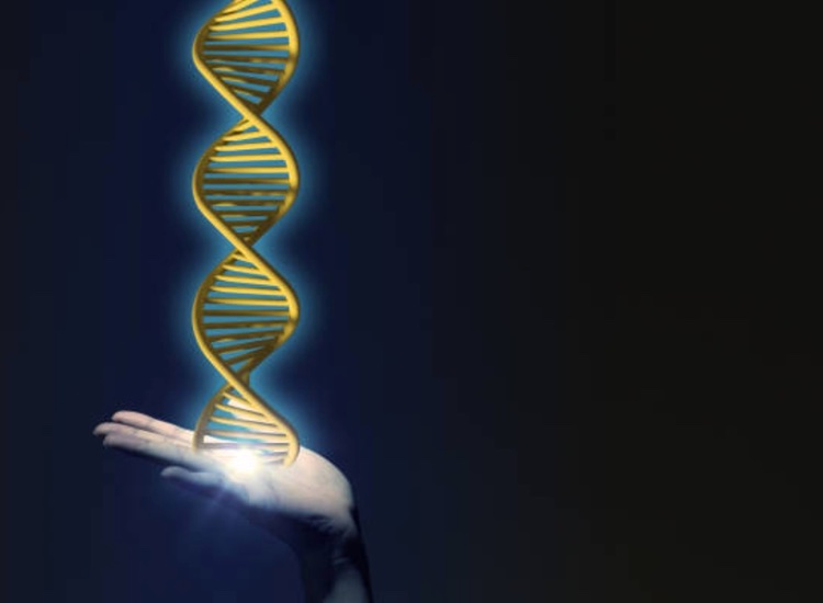 Catalent makes all-cash purchase of Paragon Bioservices