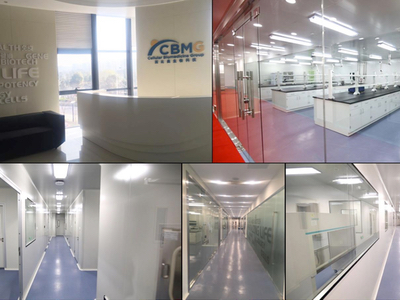 CBMG and GE Healthcare China establish joint tech lab