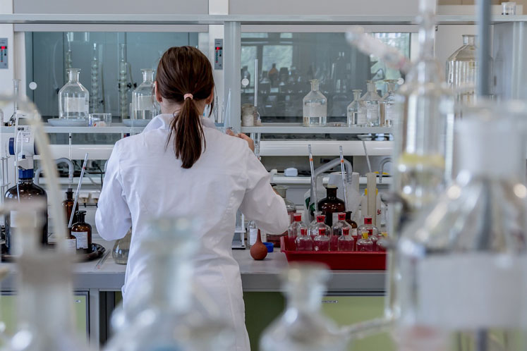 Celebrating women in science: the toxicologist