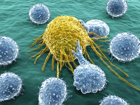 Cell-based therapies take cancer treatment forward