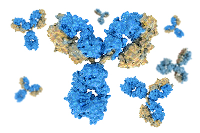 Cell line development for therapeutic recombinant proteins
