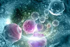 Cell line models and media for difficult to culture tumour types