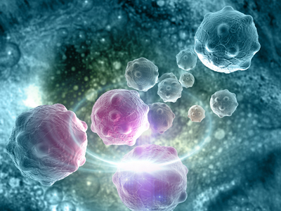 Cell line models and media for difficult to culture tumour types
