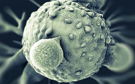 Cell Medica and UCL to develop T cell receptor cancer products