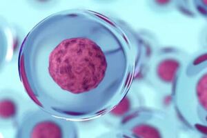 Cell Mogrify receives funding for regenerative cell therapy research