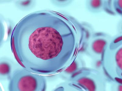 Cell Mogrify receives funding for regenerative cell therapy research
