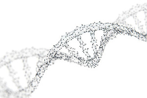 Cell therapy engages stealth mode to target solid tumours