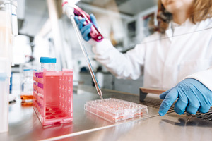 CELLphenomics and Charles River to expand 3D in vitro services for cancer therapy drug screening