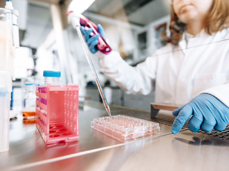 CELLphenomics and Charles River to expand 3D in vitro services for cancer therapy drug screening