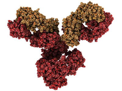 Certara launches first global quantitative systems pharmacology consortium 