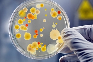 Charles River announces plasmid manufacturing collaboration with Fondazione Telethon