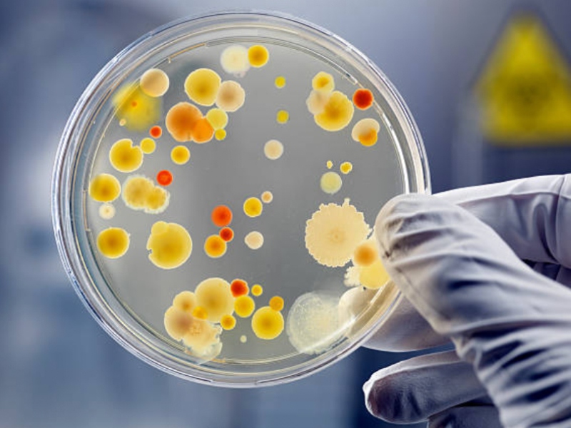 Charles River announces plasmid manufacturing collaboration with Fondazione Telethon
