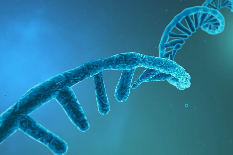 Cirena and Epigenica launch technologies to accelerate genome editing and epigenomic research