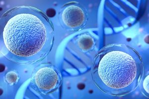Clean Cells acquires Stem Genomics to expand cell therapy QC
