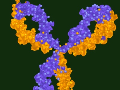 Clinical trials of mAbs grown more than 100 percent
