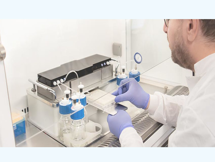 CN Bio launches oncology service for drug discovery