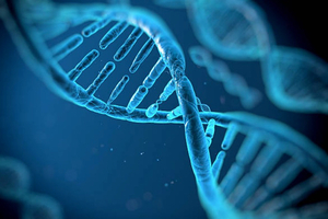 Cobra Biologics and Symbiosis awarded £1.9 m Innovate UK Grant