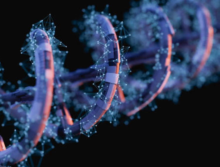 Collaboration aims to commercialise regenerative medicine technology