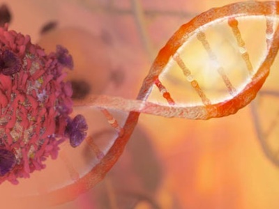 Collaboration to develop gamma delta CAR T cell product candidates