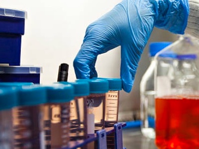 Collaboration to investigate T cell receptors for cancer treatment 