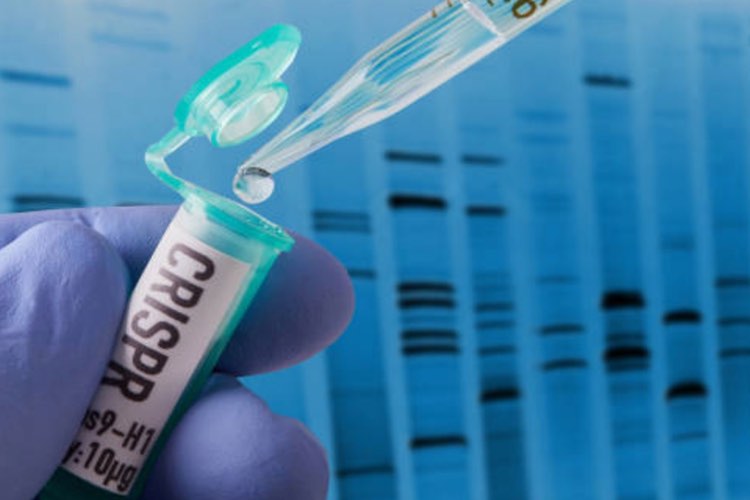 Collaborators use CRISPR to catch cancer-causing gene fusions