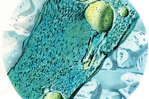 COMBACTE-MAGNET project aims to stimulate antibiotic development in Europe