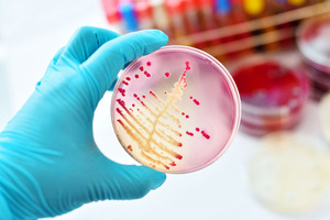 Components of an effective disinfectant prequalification strategy