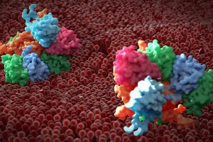 Conagen acquires fermentation-based glycoproteins production tech