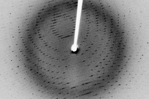 Concept and Accelero Biostructures accelerate early drug discovery with X-ray crystallography