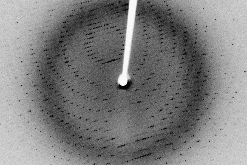 Concept and Accelero Biostructures accelerate early drug discovery with X-ray crystallography