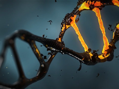 Congenica completes Series B financing with investments from BGI, Healthlink and Future Planet