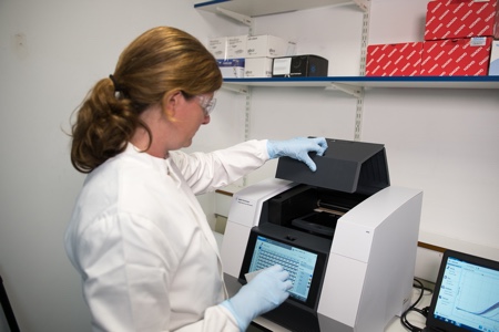 Contract research organisation XenoGesis expands services