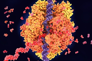 CordenPharma and Wacker Chemie accelerate RNA-based drugs