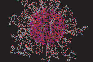 Cornell dots research collaboration leads to a US$10m cancer centre